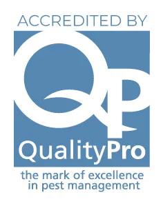 QualityPro
